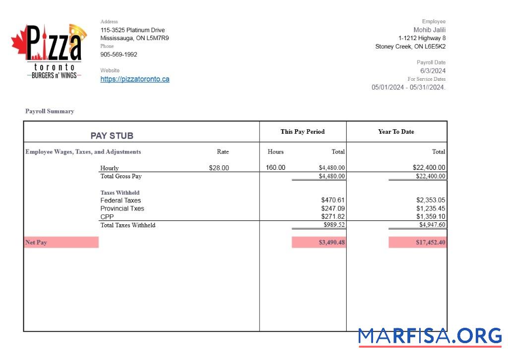 Printable Pizza Toronto pay stub example